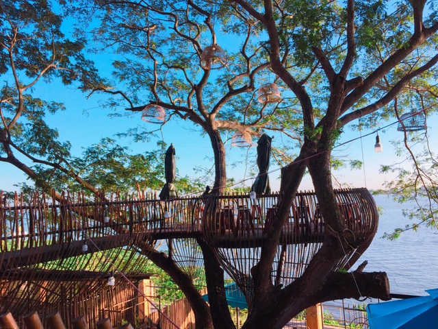 Traveling tips: The coffee shop is "built" on an old tree with the name "unique" in Mien Tay. 66 cafe song thodocx 1616349689671