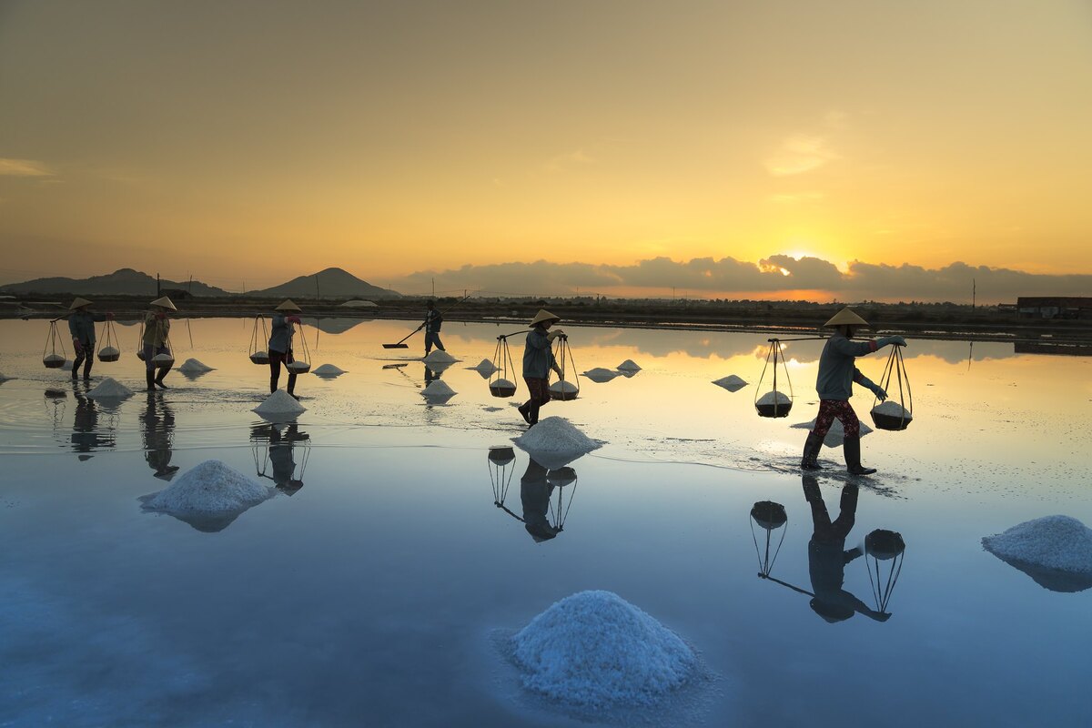 Blog: Salt harvest a labor of love in Nha Trang 76 dm5 1617264240