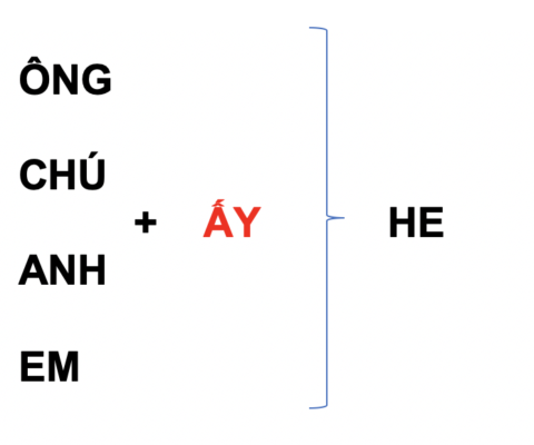 Đại từ nhân xưng: Pronoun 11 HE 3