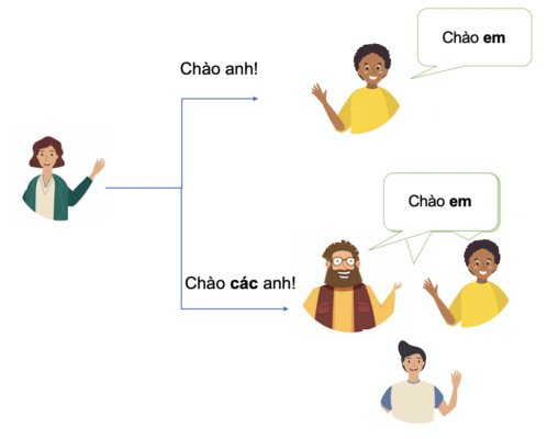 Đại từ nhân xưng: Pronoun 17 cac anh