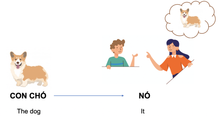 Đại từ nhân xưng: Pronoun 12 it 2